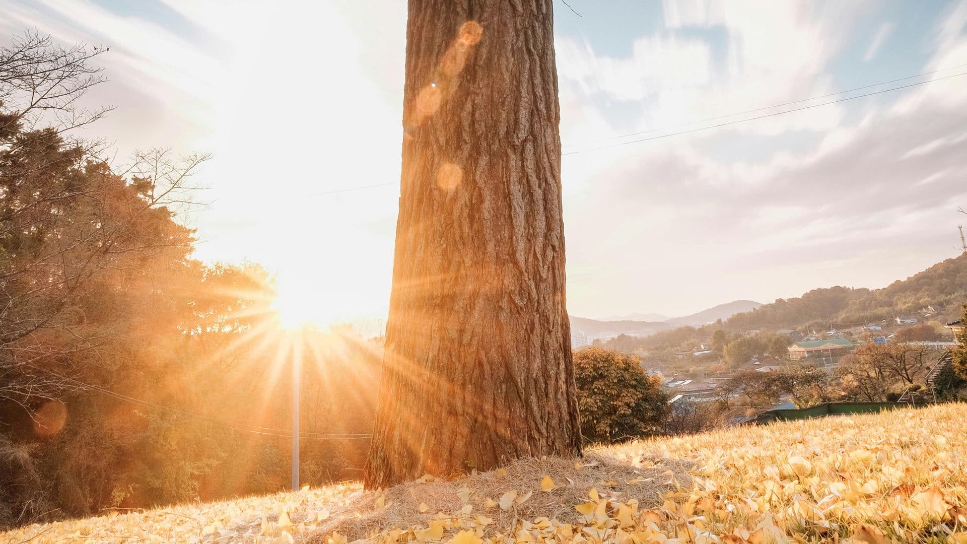 Begin A Relationship with Jesus